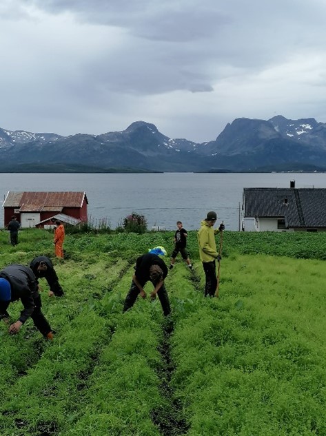 norwegen 02