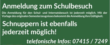 ONLINE SCHULINFOS